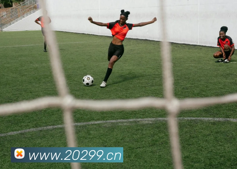 半岛在线网页版登录APP 封面图